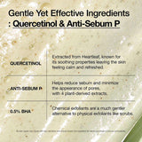 ANUA Heartleaf Quercetinol Pore Deep Cleansing Foam 150ml - Pack Of 2