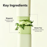 BEAUTY OF JOSEON Matte Sun Stick Mugwort Camelia 18g - Pack Of 2